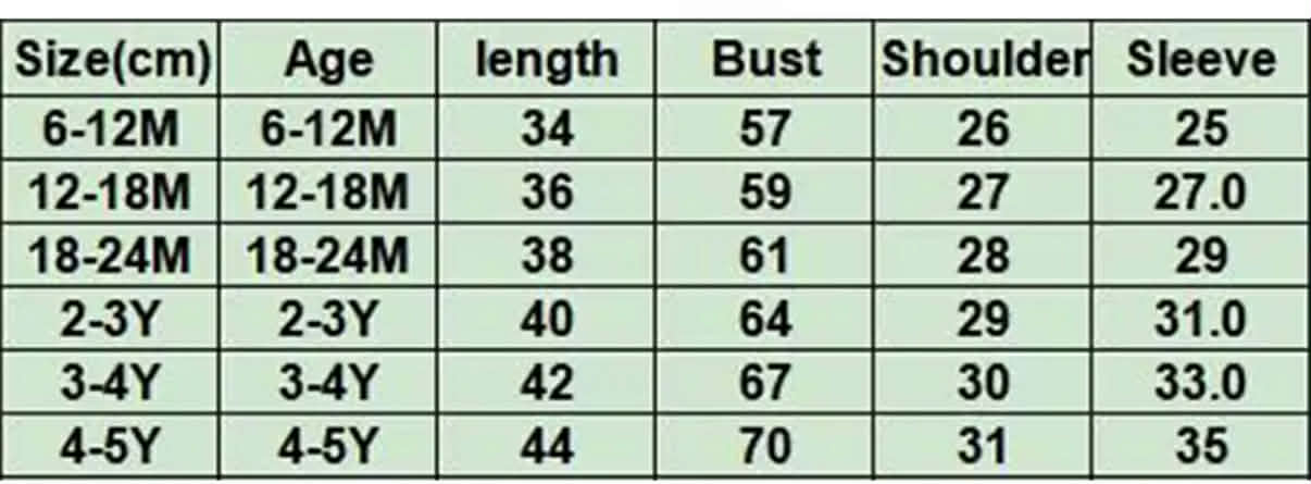 PREORDER: Boys Dino & Chick Graphic Crewnecks 2.23.26