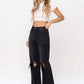 Vervet by Flying Monkey Vintage Ultra High Waist Distressed Crop Flare Jeans