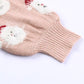 Santa Round Neck Long Sleeve Sweater