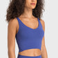 Deep V-Neck Crop Sports Bra